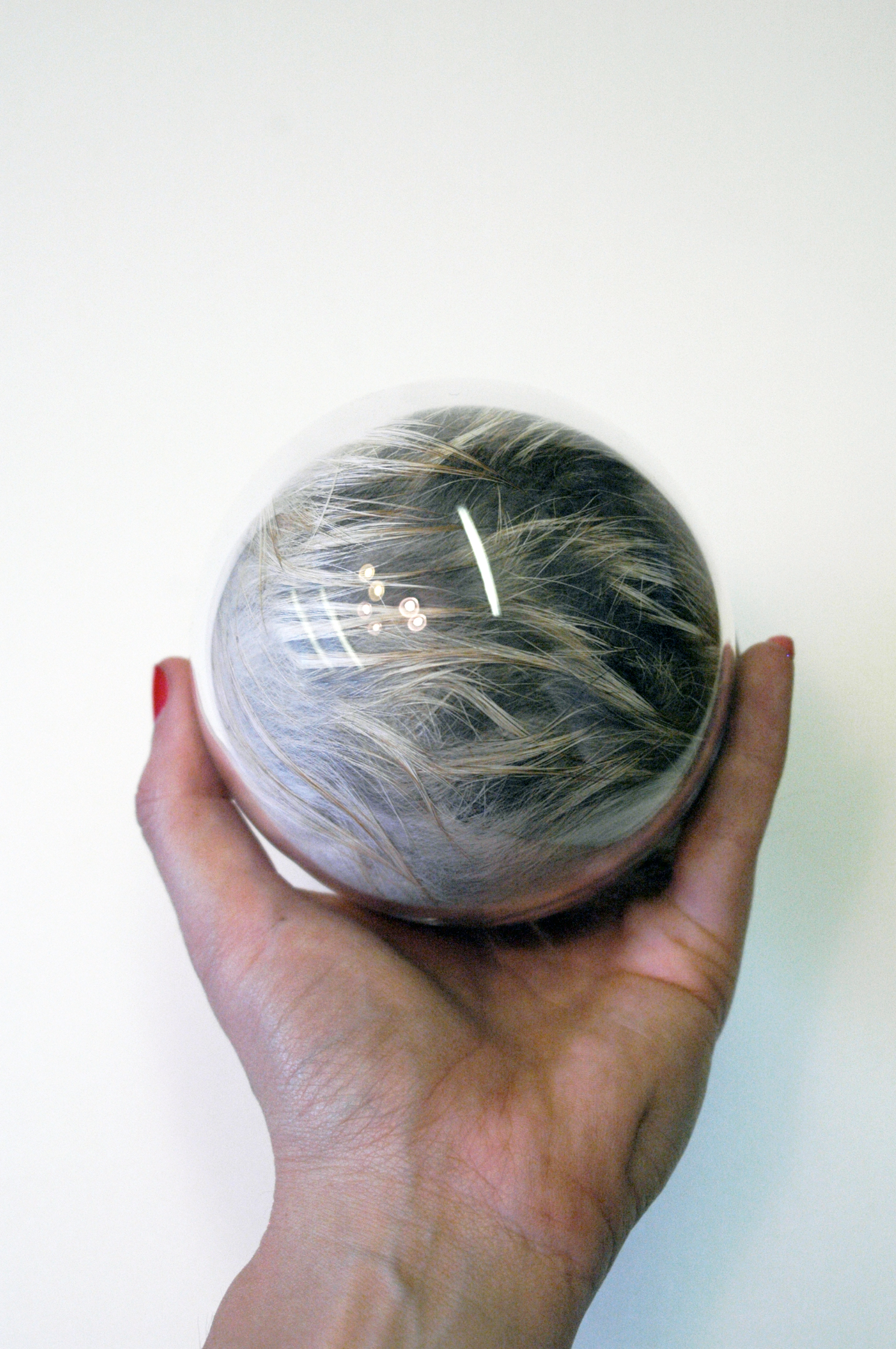 Baby Hairy Eye Ball, 2012, 10cm diameter rel=