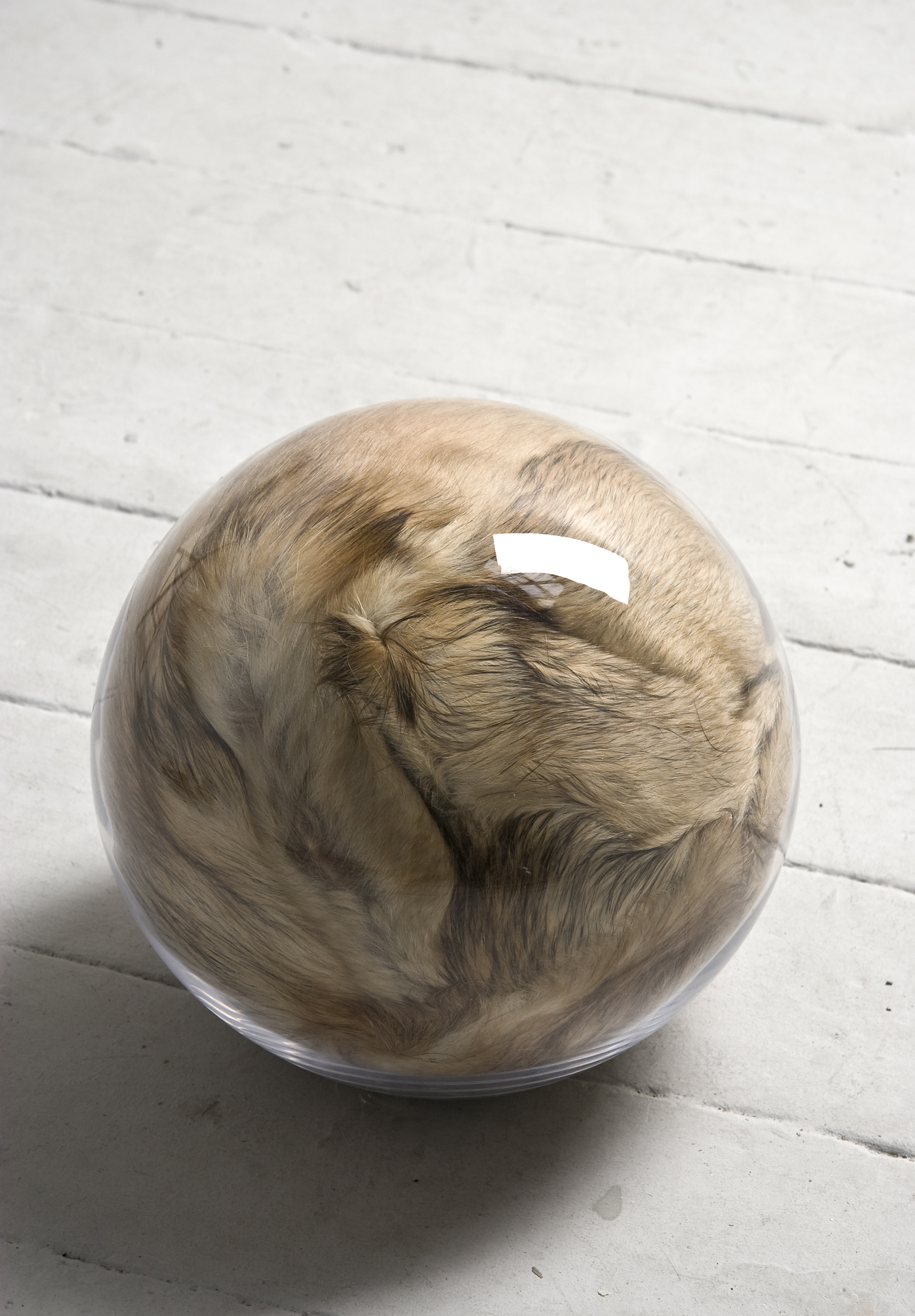 Hairy Eye Ball I, 2011, 30cm diameter, recycled fur, pillow filler inside handblown glass rel=