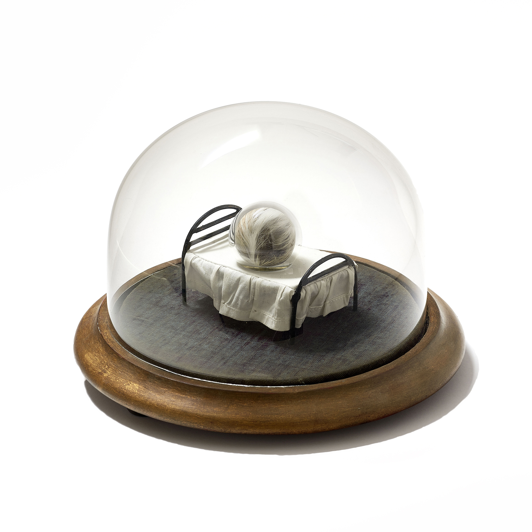 Seed on Bed, 2017, vintage fur, handblown glass, cotton, steel inside antique glass dome, 8x6x5.5cm (without dome), 11.5x17.17cm (with dome) rel=
